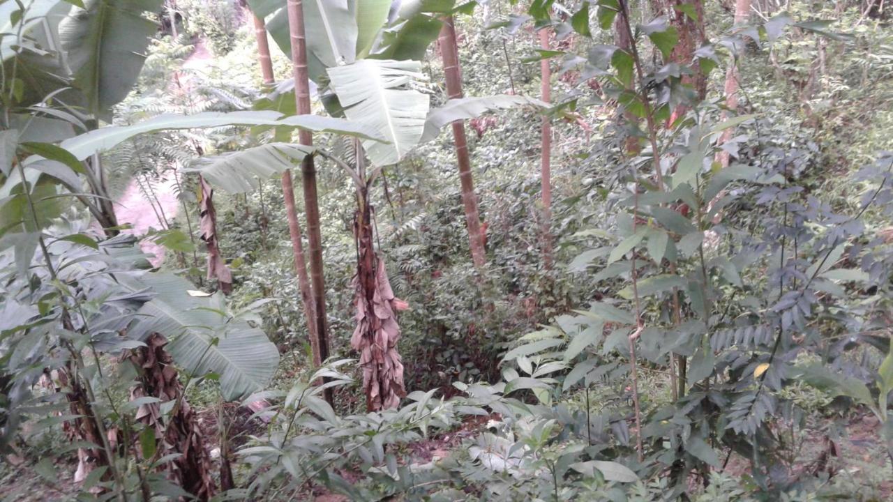 Sun View Resort Kithalella Bagian luar foto