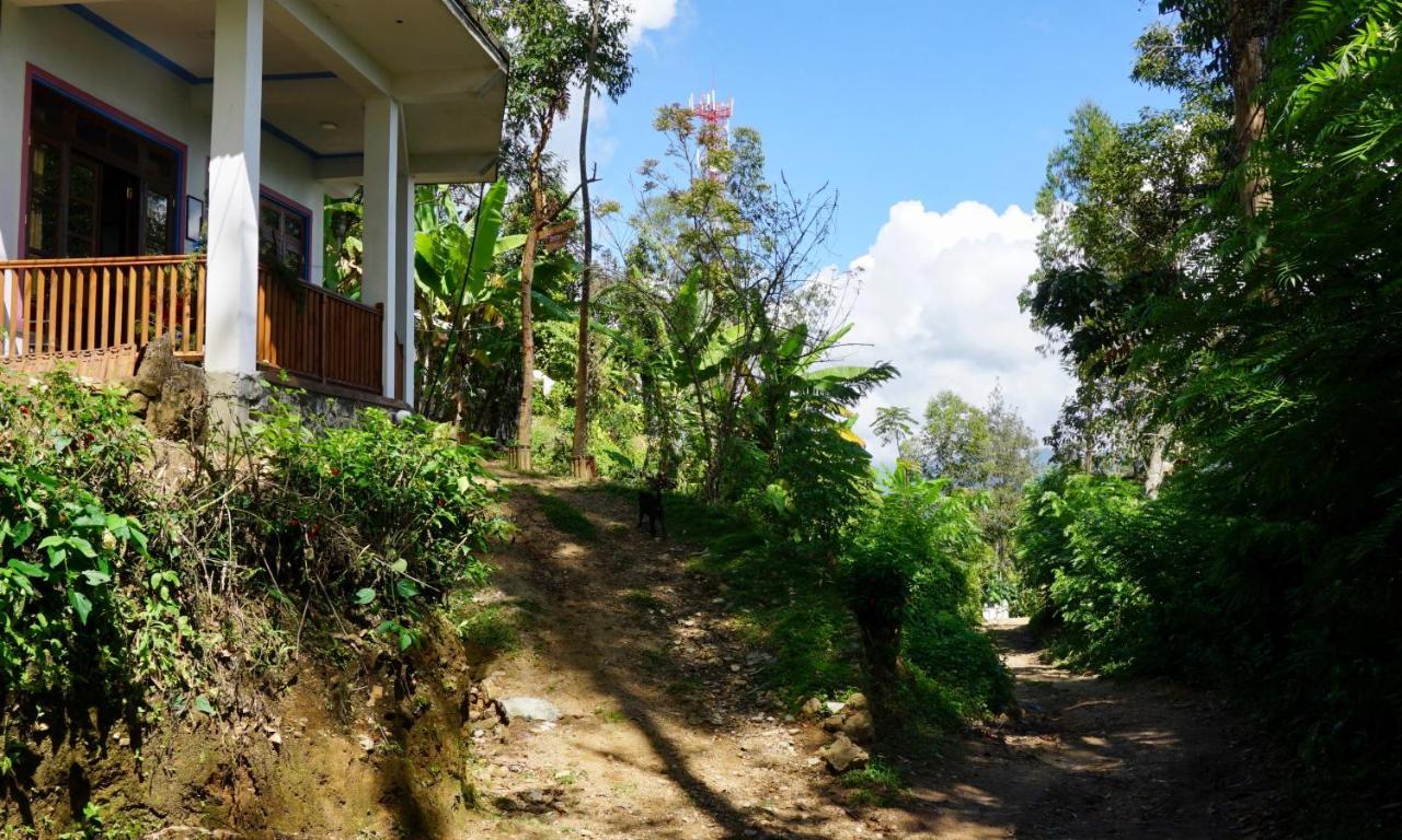 Sun View Resort Kithalella Bagian luar foto